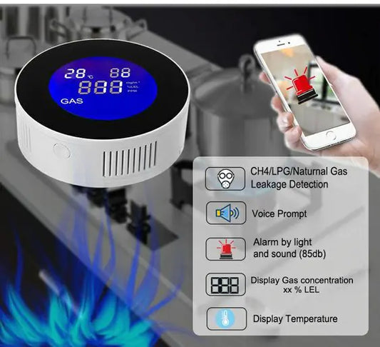 Wi-Fi Smart Natural Gas Detector - Remote Gas Leak Alerts & LCD Display - ShopandTop