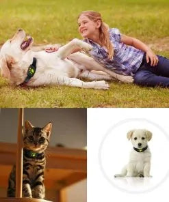 Pet Tracker Mini GPS Locator - ShopandTop