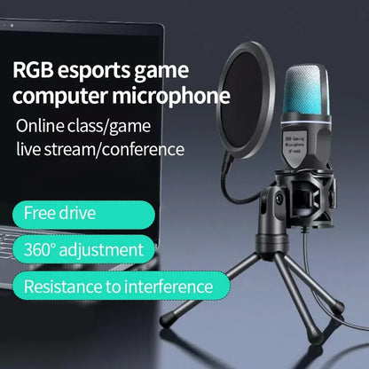 SF666R USB Microphone - ShopandTop