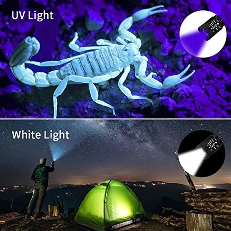 Ultraviolet White Lamp Retractable Flashlight - Dual Lamp Design with Adjustable Beam - ShopandTop