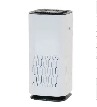 Mini Negative Ion Air Purifier - ShopandTop