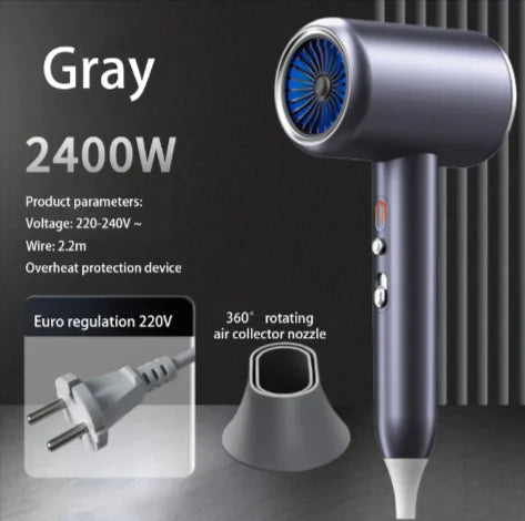 F33 Professional 2400W Hair Dryer - ShopandTop