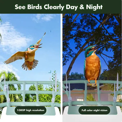 Solar-Powered Waterproof Bird Feeder with Camera – AI Smart Birdwatching Feeder - ShopandTop