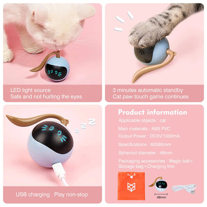 Kitten Electronic Ball - ShopandTop