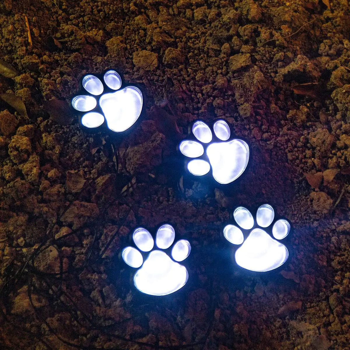 Paw Print Solar Lights - Charming Garden Lighting for Pet Lovers - ShopandTop