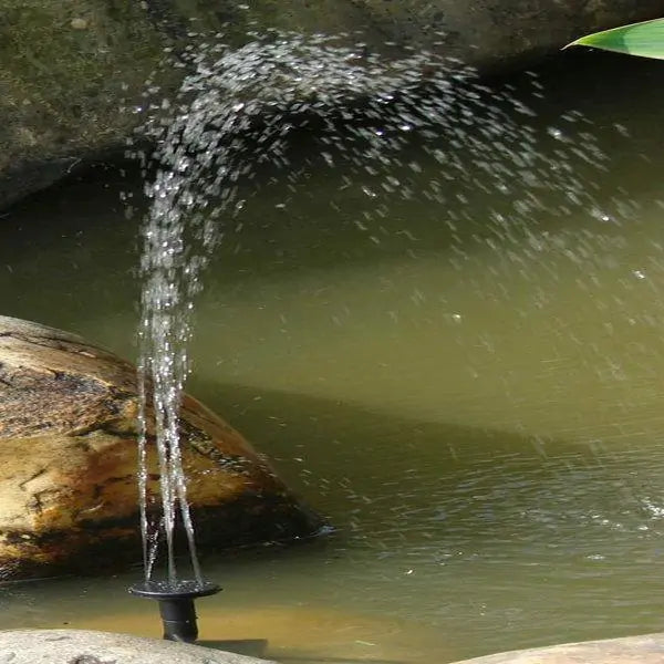 Solar Powered Bird Fountain - ShopandTop