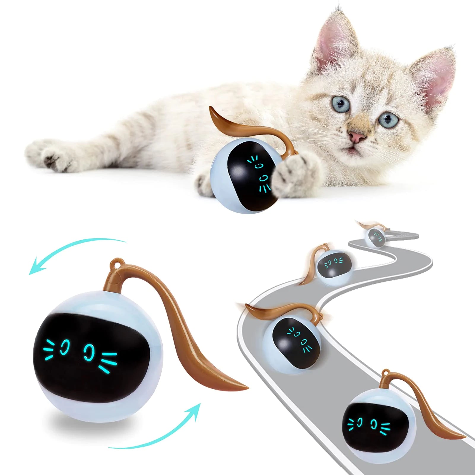 Kitten Electronic Ball - ShopandTop