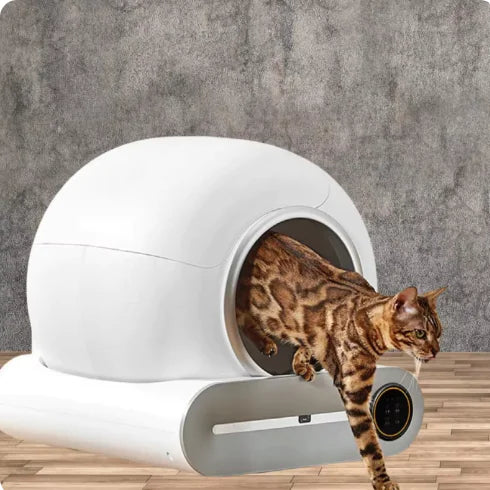 Smart Automatic Cat Litter Box - ShopandTop