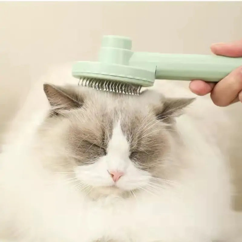 Cat Grooming Brush - ShopandTop