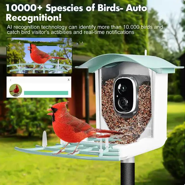 Solar-Powered Waterproof Bird Feeder with Camera – AI Smart Birdwatching Feeder - ShopandTop